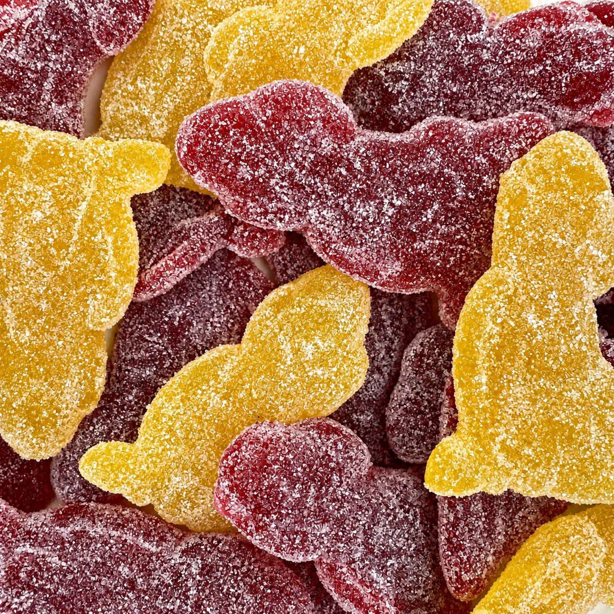 GIANT SOUR MONKEYS