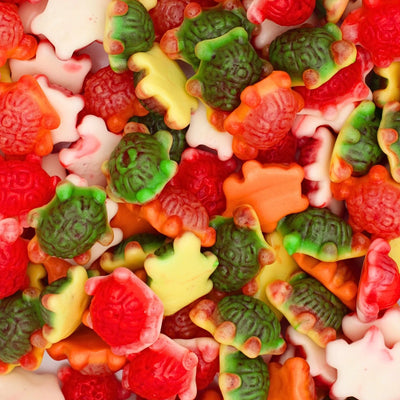 JELLY FILLED TROPICAL TURTLES