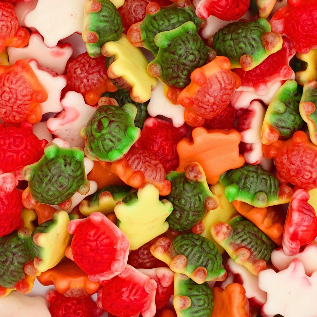 JELLY FILLED TROPICAL TURTLES