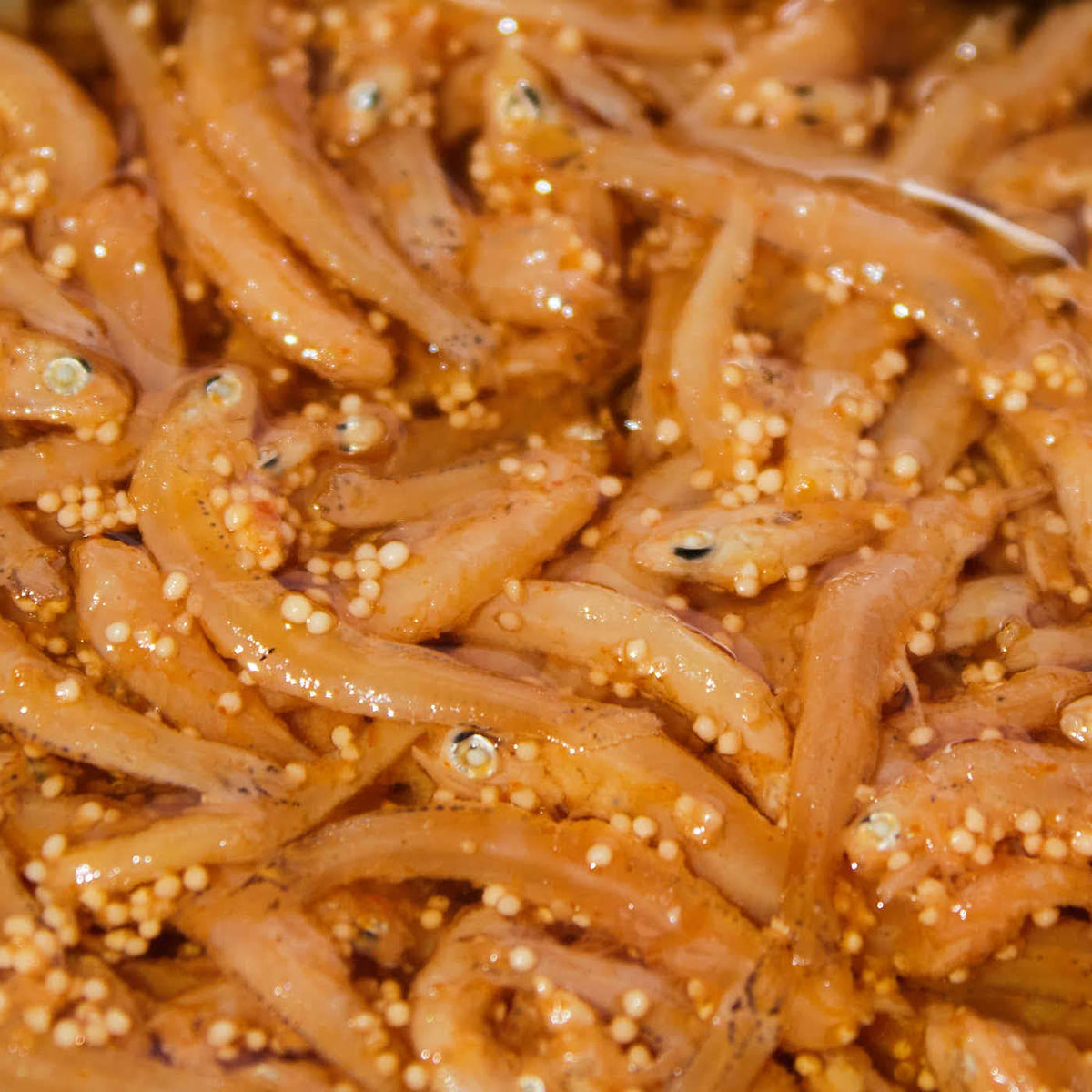 BOKKSU JAPANESE SHIRASU ANCHOVIES WITH MENTAIKO COD ROE