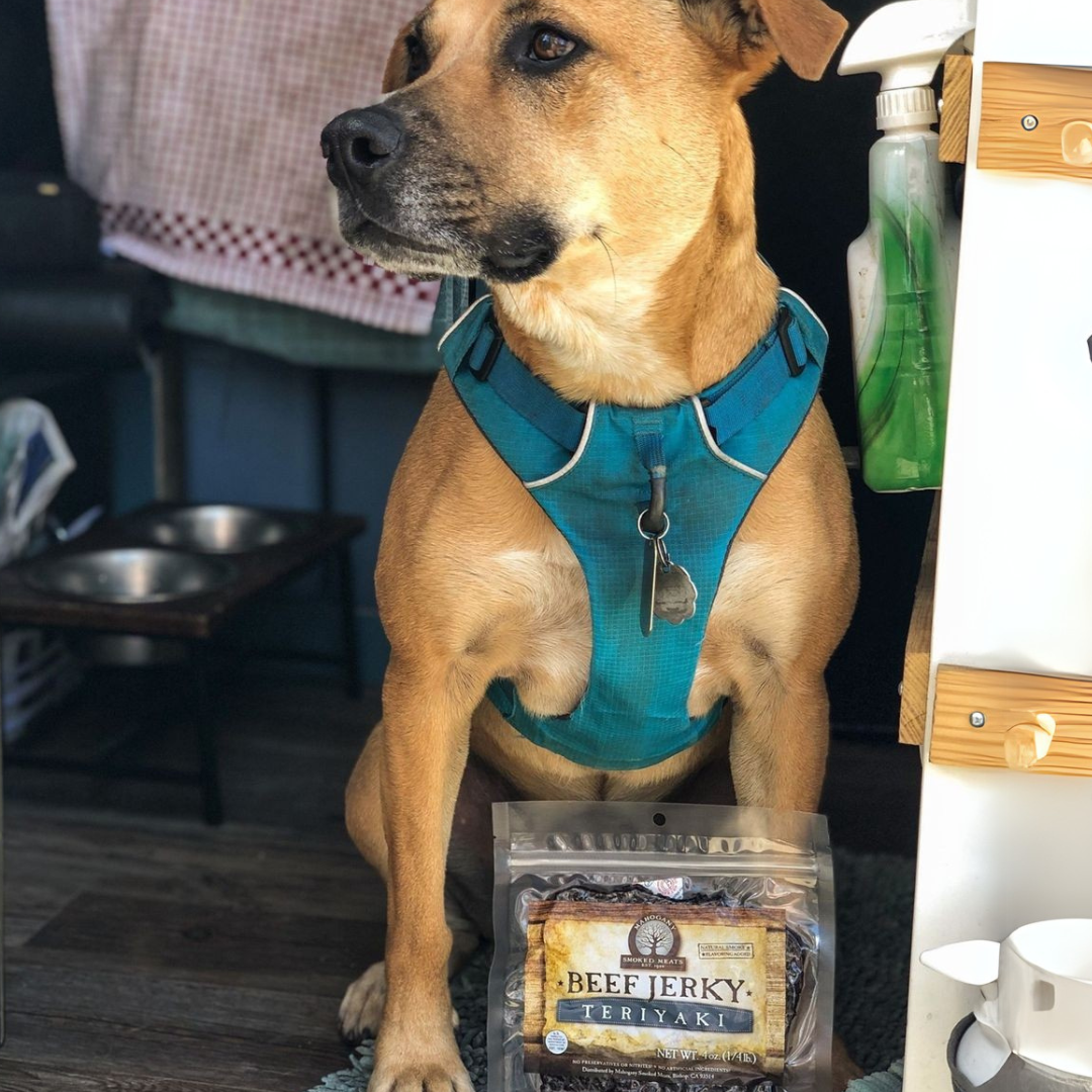 TERIYAKI BEEF JERKY